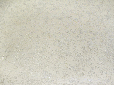 Обои Elysium Серия Ильма Е77301